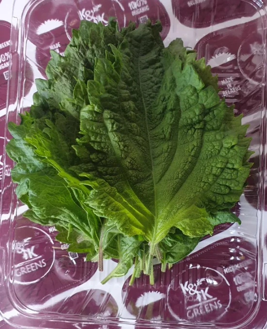 Лист микрозелени Периллы шисо, 25 шт. фото 4